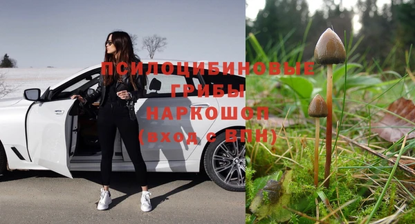 соль курить ск Арсеньев