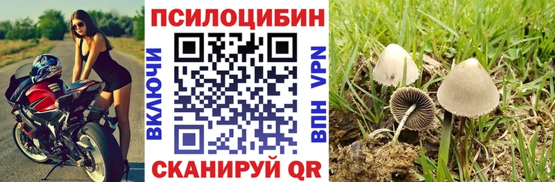 купить наркоту  kraken ССЫЛКА  Псилоцибиновые грибы MAGIC MUSHROOMS  Михайловка 
